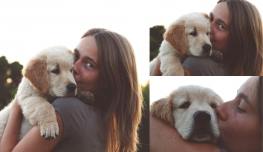 15b837ac507b3ddf8008aab2d5c336dd_263