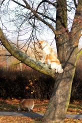 15caecee372bc917368619702120c971_164x246