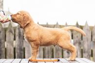 15cba641173ba4539004c1e21ebb4904_195x130_fill