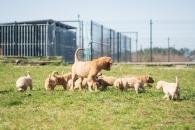 15fea2005e235d4d72becf98b4b45363_195x130_fill