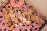 16199077e875635adc70f815b4a69c38_195x130_fill