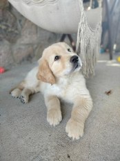 1658c2e84b9ffa1fe29f702bb02b3218_174x232_fill