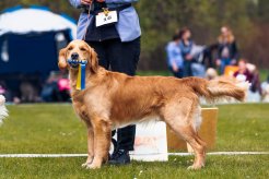 165aa1291780b314c9dd726e9878c3e5_246