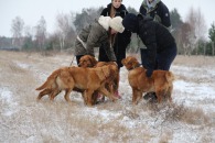 169673b67f6e76a03d57e7269f2b1c72_195