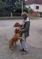 16ac179beb6098cd2f98dcb218056931_136x189