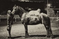 16e0a1975438129695c963d7dd0fe882_194