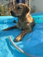 16fd30dae4dfecca2537e9b095e2ec69_138x184_fill