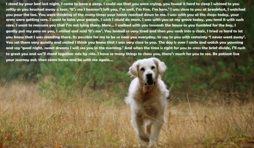 1747fb3a8c4eece3b1afc2d7b3331967_523