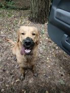 174fc94b12a3fd9da4add16e93ae1627_138x184_fill