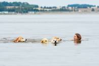 17c0e15d3a9b6181d9116dafa3d4313c_195