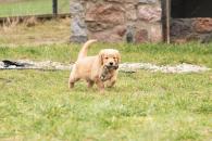 17cdd6dae7a99ab7b3b3415e35130e79_195x130_fill