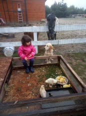 17e71a63910f323073236db0068646c6_172x232