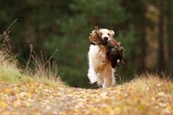 17e7326e4d5ab3b27026e6a916faf841_246