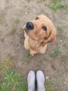 1865cf7b50125fa704967fb72b0342da_138x184