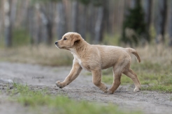 18688706452f7856384a3fc77a9e5208_246