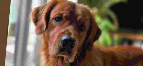 186c3b945ee10f8085b4229a718d3750_294