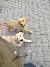 188998d911297df9cdd3b4647b67d6b3_174x232_fill