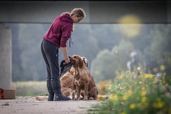 188d3a8f4405f9dd7d10a7f04a8c6036_246