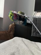 18951fcf79bd4da91c2723054b8f2e8f_138x184_fill