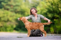 18b73005943a924f5ddb2664eb870174_195