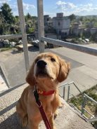 18c251507a211ea735a8c242702fb42c_138x184_fill