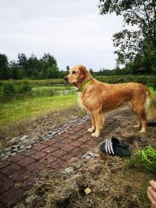 190f71aaa21c5e6c9b10dd963298f3df_174x232_fill