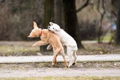 19277ffe46f88dd7943a8feac13cd8e6_245