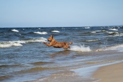 19341c5d5a3b54db52dd70bee18f2d85_246