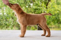 1976217b1836015e00883618d68c66c0_194