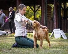 199ed5c4fd5dae1a25e0640b90c4455c_222