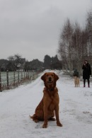 19b3ceaf96581bdf6838e96681f6248c_130x195