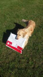 19d2149b8a4a20f70cf47d3ba3278f5f_150x270_fill