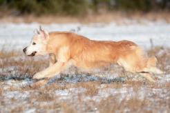 19e1e0b1ea167b768e4791a950ea6681_246