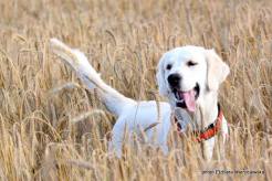 1a08e2dea6bd221ac00fca4f520b6d79_246x164_fill