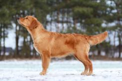 1a1b3853dc047d476494780e56e60a2e_245