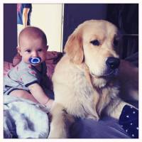 1a1bc6ffdac03721ca2f0d5902197ae7_200x200_fill