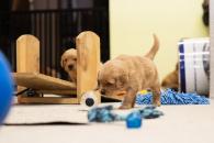 1a2fe9056a3c9e22dcf72848653040df_195x130_fill