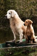 1a3f1ce28c955b8decfc55c131805587_130x195_fill