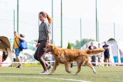 1a5e7bf3b7a196155bbaf8bca8cdeb9f_246