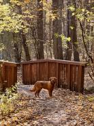 1a7678c35c8401418146d4f7e5a6c3c5_138x184_fill