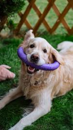 1a79e08d32a187e41d94db01ac4295f7_150x266