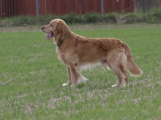 1b64e639b11d0b04a074eec5ecdb709b_232x174_fill