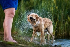 1b72d95fc756a0afb01c09534e16a72b_246