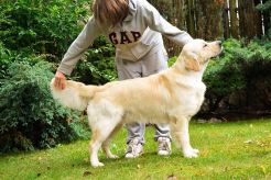 1b8d470f5afdb4e360572a2bbdf263cc_246