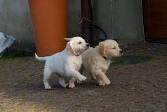 1baa0dbfd324db7f55e258607a25d7d8_245