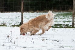 1baf9bc8046884dbbf144436b9a5551c_246