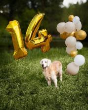 1bcb925172615995f72627b723b1a740_178x222