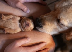 1c19bce05ba113026489e3192b7cfeb4_237