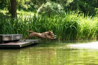 1c2680e63d6cc7e51f472c91b3d5f640_195