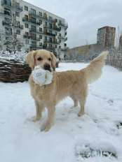 1c3240026967e507ec8a519b0353b446_174x232_fill